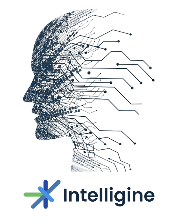 Intelligine Ecosystem Description - Build Your Personalized and Private AI Ecosystem